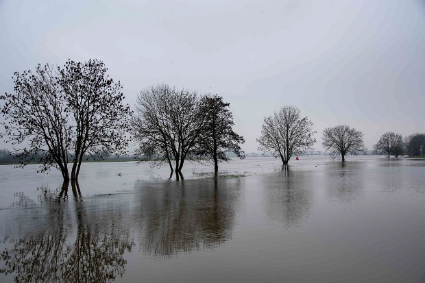 Hoogwater 01-02-2021