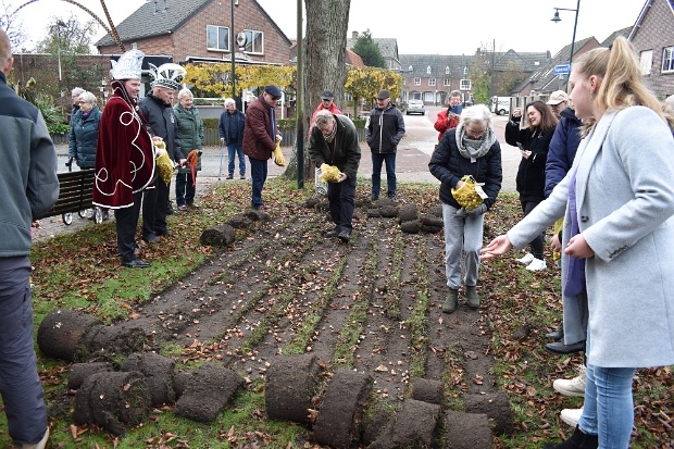 Bloembollen met pit fleuren Mariakapel op 26-11-2022