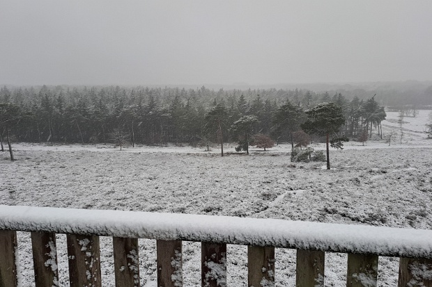 Sneeuw in Afferden 09-01-2025